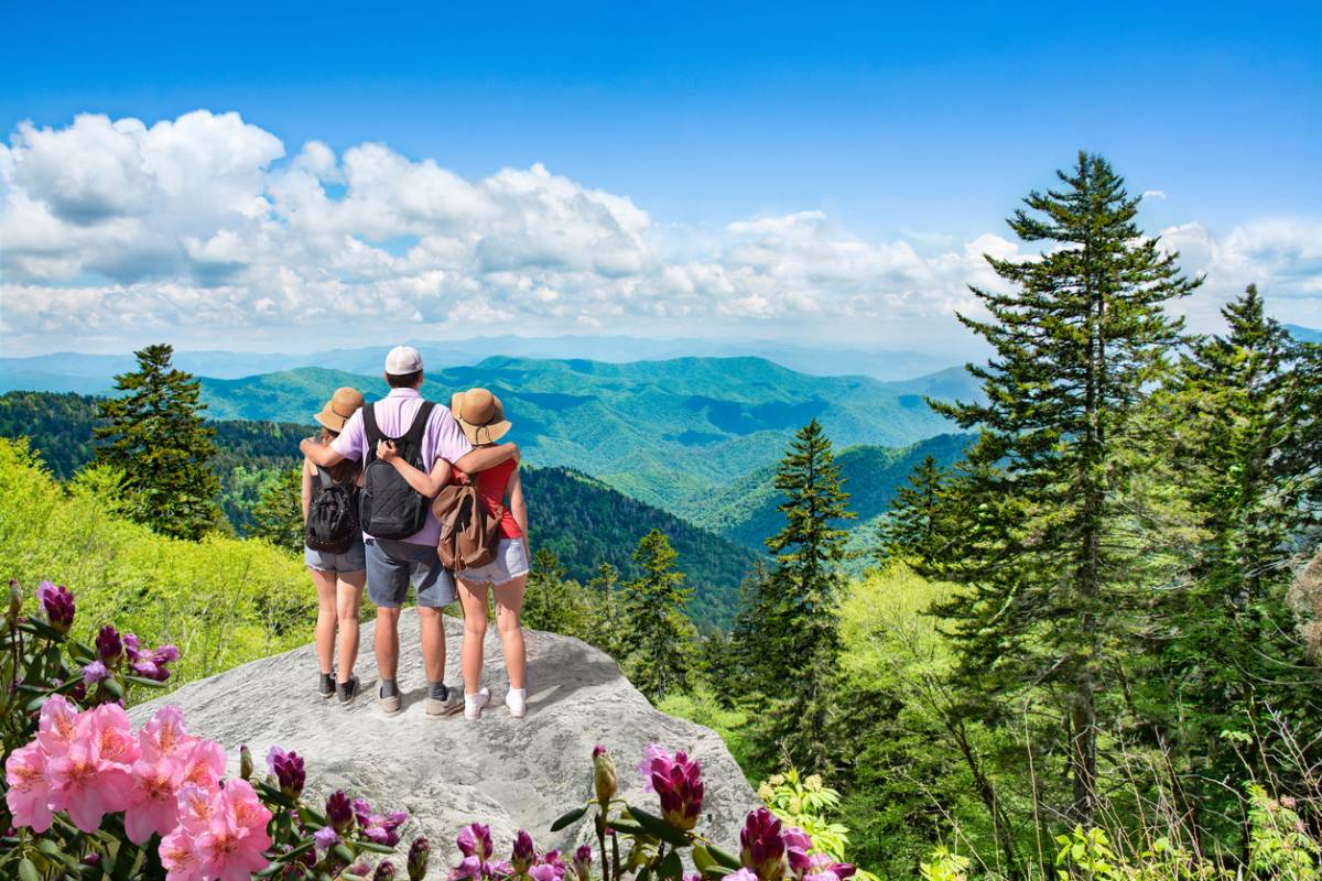 Find a true escape in an Asheville vacation rental | Greybeard Rentals