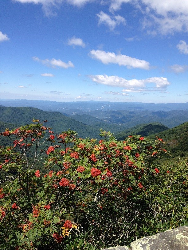 Asheville Hiking Trails, Guides & Recommendations