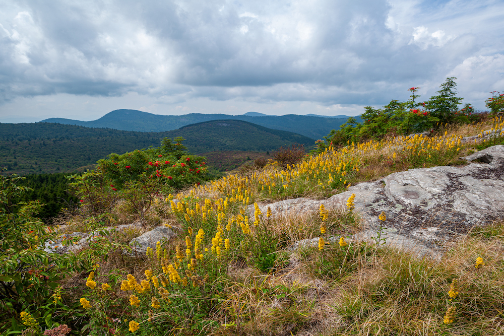 exploring pisgah national forest